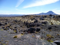 P1090058