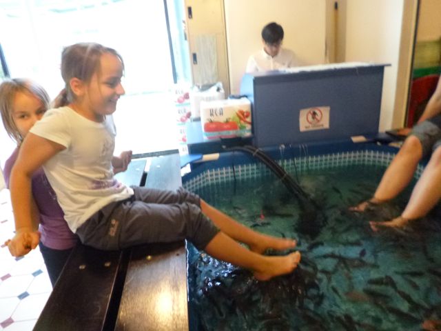 Lilli und die Fische