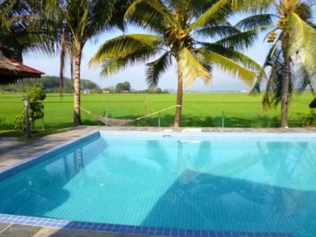 Am Pool mit Blick auf die Reidfelder