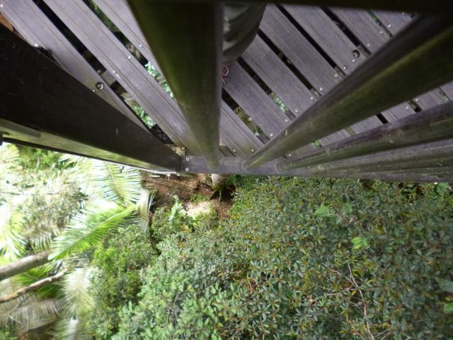 Papa steht auf den Holzlatten...scheint also stabil zu sein.
