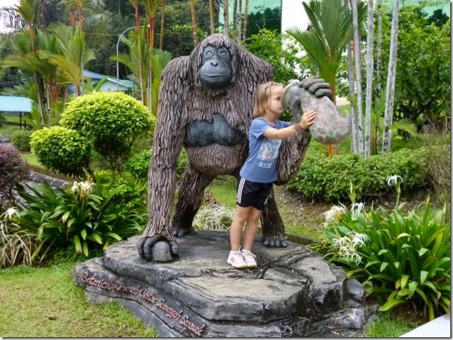 Orang-Utan mit Monkey-Cup