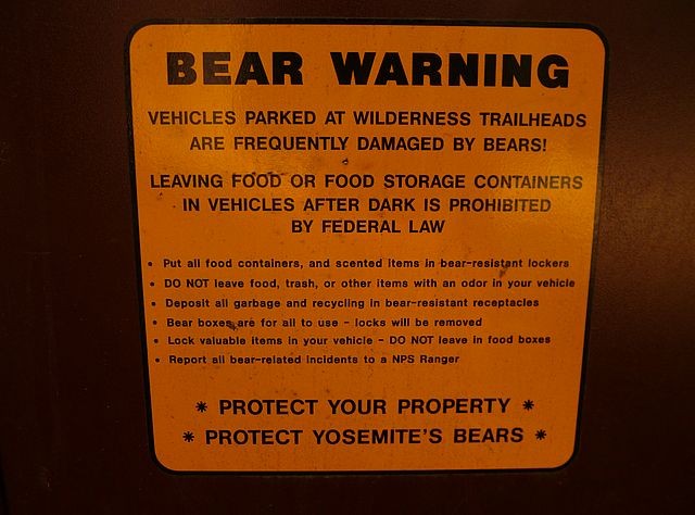 Beware Of The Bear