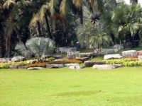 p1040716