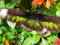 p1010491