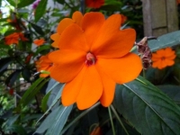 p1010688