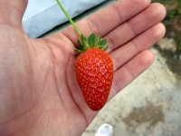 p1010710