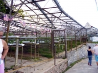 p1010712