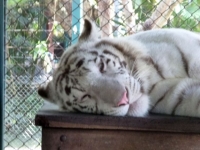p1050210