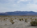 P1100191