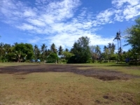 p1030040
