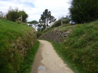 P1090341