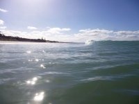 P1090564.jpg