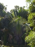 p1020536