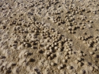 p1020556