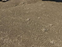p1020558