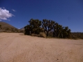 P1100327
