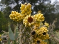 P1100372