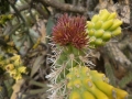 P1100381