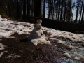 P1100586