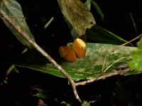 p1010913