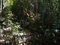 p1010916