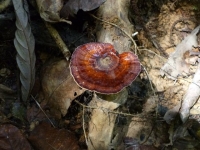 p1010931