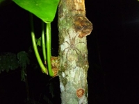 p1010970