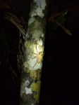 p1010987