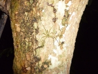 p1010993