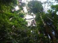 p1020031