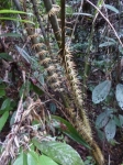 p1020040