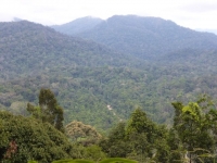 p1020052