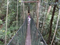 p1020094
