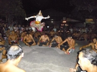 p1030238