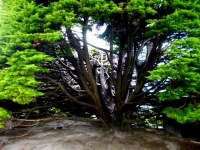 P1080885