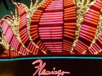Casino Flamingo